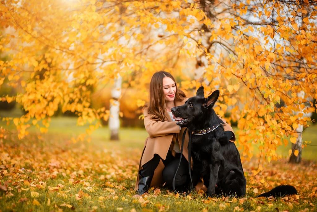 chien-automne