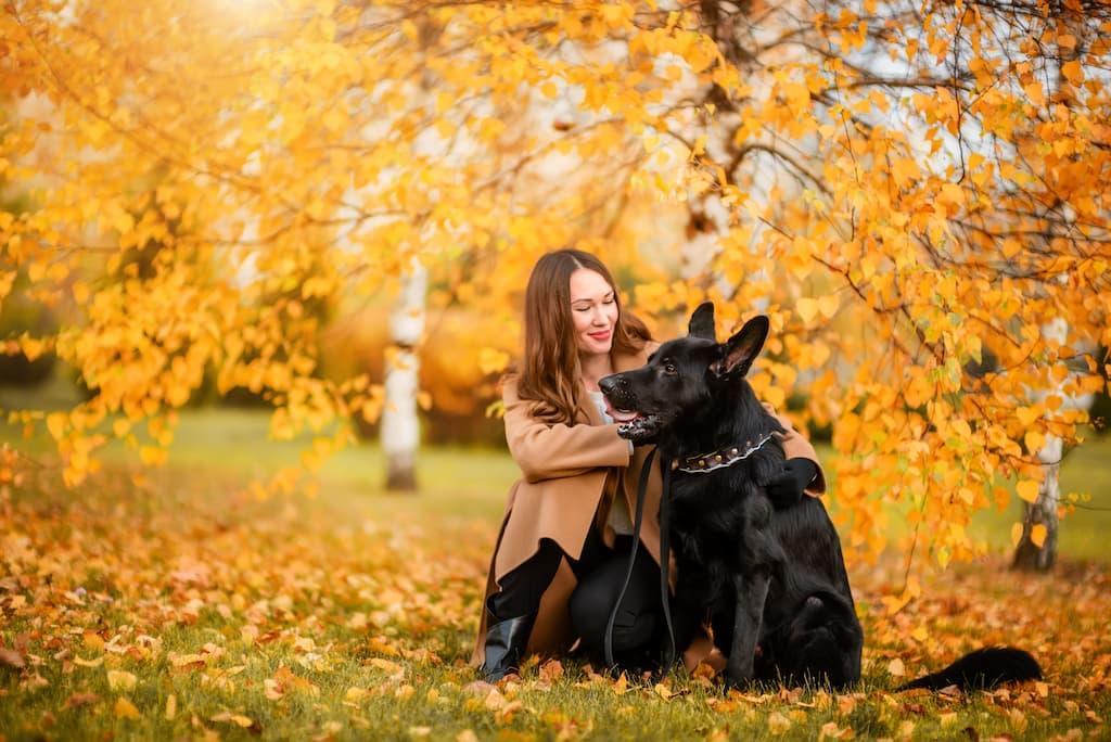 chien-automne